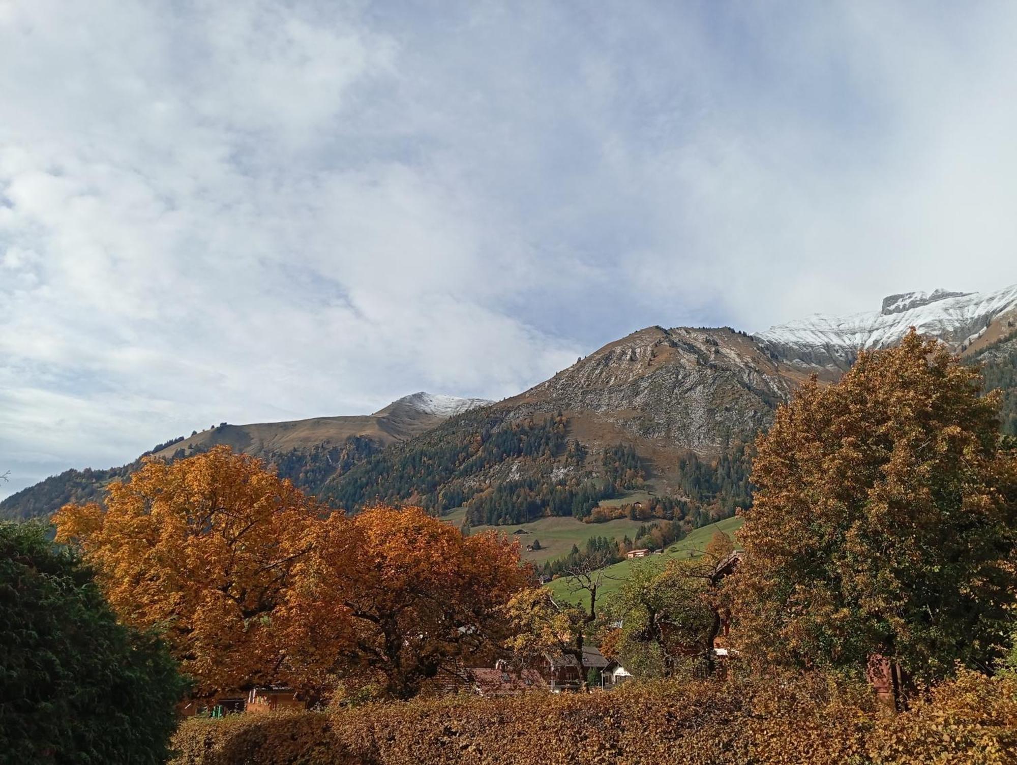 Cozy Apartment In The Heart Of The Alps Chateau-d'Oex Cameră foto